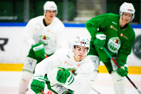 Rögles Nils Höglander