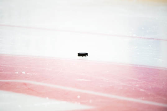 En hockeypuck