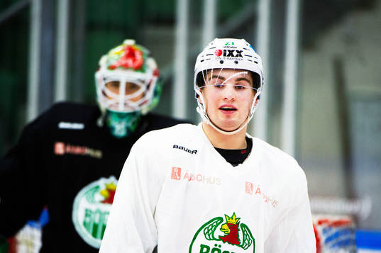 Rögles Nils Höglander