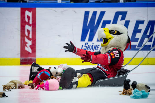 Teddy bear toss