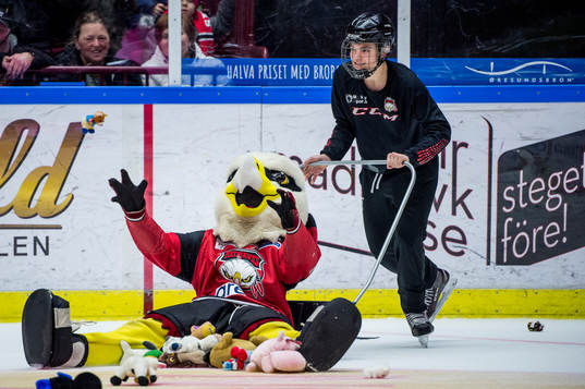 Teddy bear toss