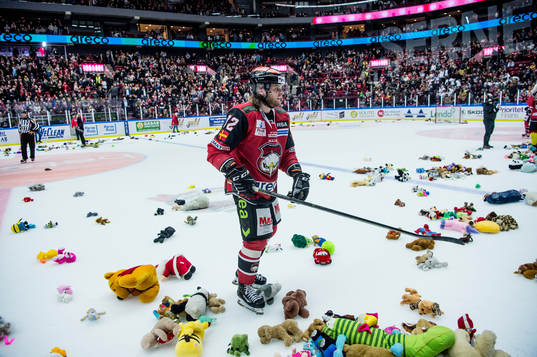Teddy bear toss