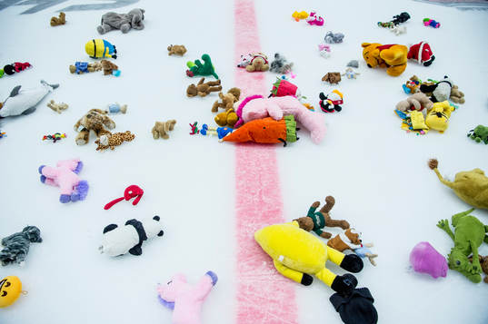Teddy bear toss
