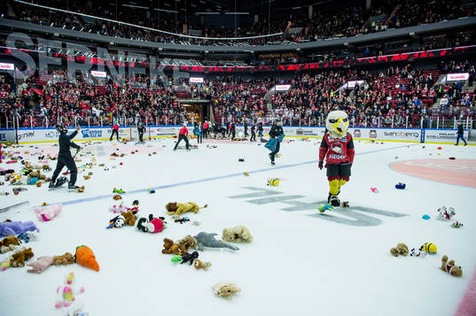 Teddy bear toss