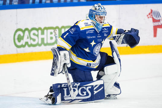 Leksands Jakob Hellsten
