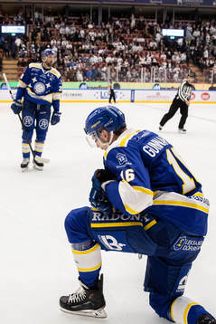 Leksands Daniel Gunnarsson deppar