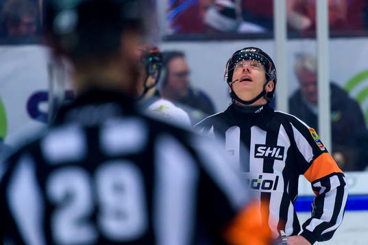Domare Mikael Holm