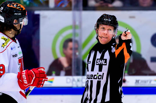 Domare Mikael Holm