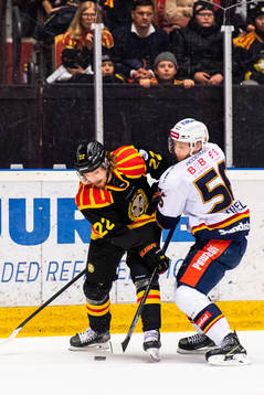 Brynäs Adam Brodecki och Djurgårdens Robin Norell