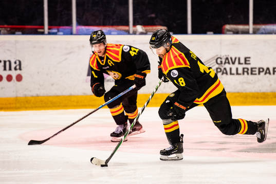 Brynäs Anton Rödin