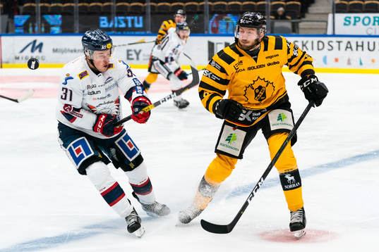 Bläddra bland fler bilder av Ishockey, SHL, Skellefteå - Linköping