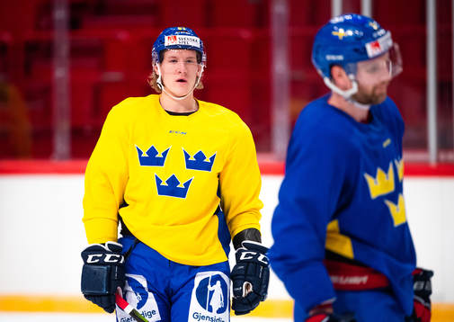 Emil Sylvegård