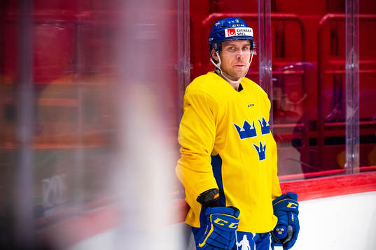 Henrik Tömmernes