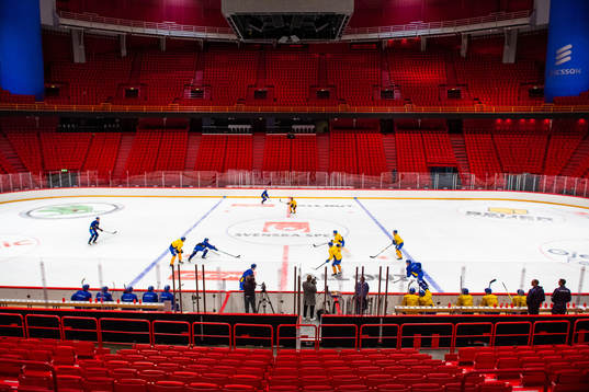 Players of Sweden