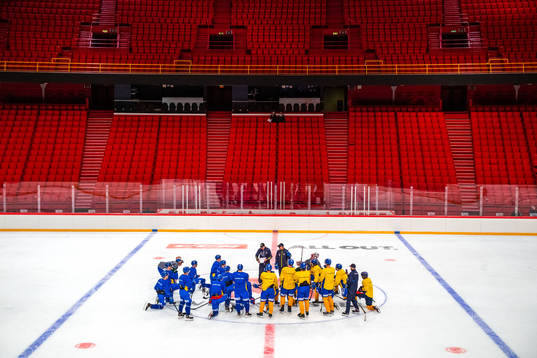 Players of Sweden