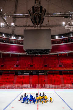 Players of Sweden