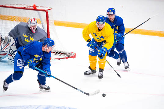 Henrik Tömmernes