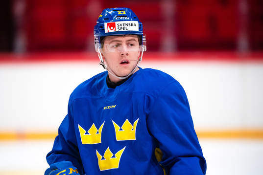 Jesper Sellgren