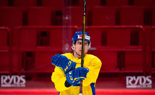 Henrik Tömmernes