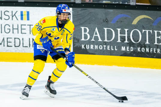 Sveriges Michelle Löwenhielm