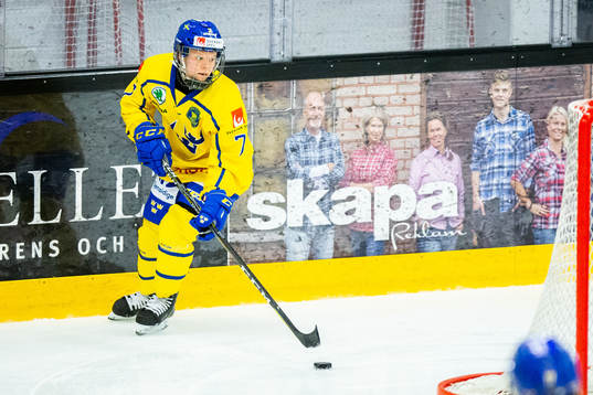 Sveriges Linnea Hedin