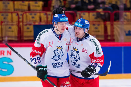 David Stastny of Czech Republic celebrates