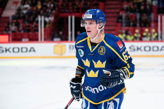 Fredrik Händemark of Sweden celebrates
