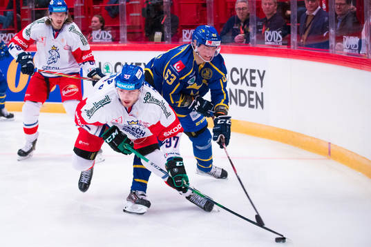 Michal Kovarcik and of Sweden Fredrik Händemark