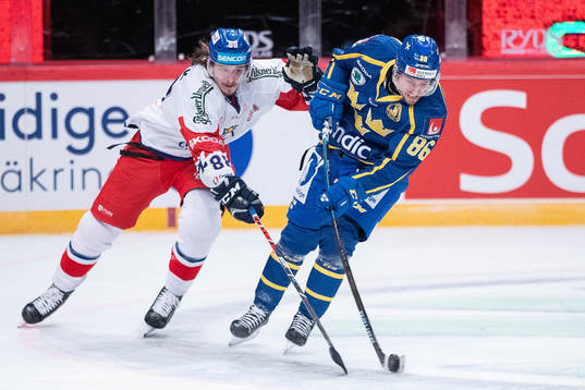 Libor Sulak of Czech Republic and Mathias Bromé of Sweden