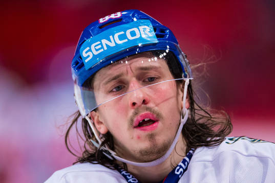 Libor Sulak of Czech Republic