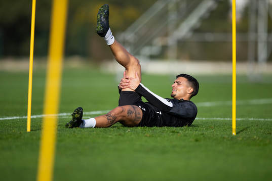 Häckens Ahmed Yasin stretchar