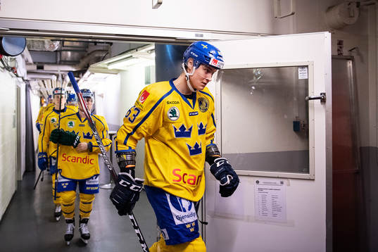 Fredrik Händemark of Sweden