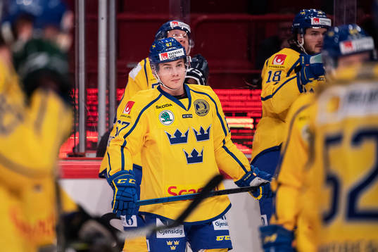 Leon Bristedt of Sweden