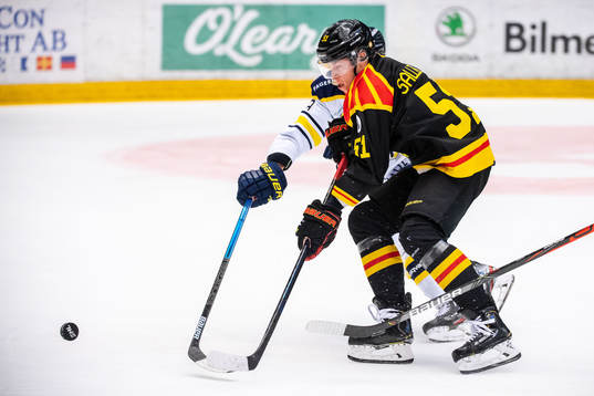 Brynäs Tomi Sallinen