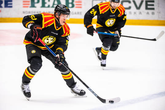 Brynäs Tomi Sallinen