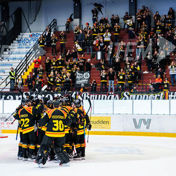 Brynäs spelare jublar