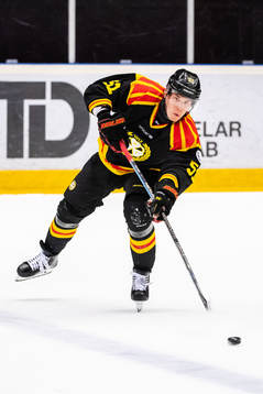 Brynäs Tomi Sallinen