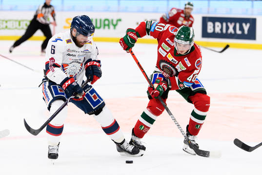 Bläddra bland fler bilder av Ishockey, SHL, Frölunda - Linköping