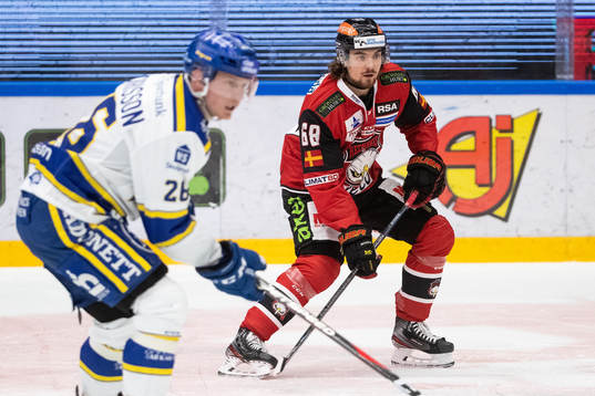 Malmö Redhawks Adam Brodecki