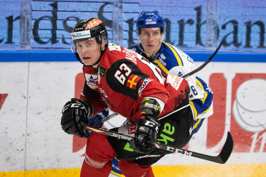 Malmö Redhawks Fredrik Händemark