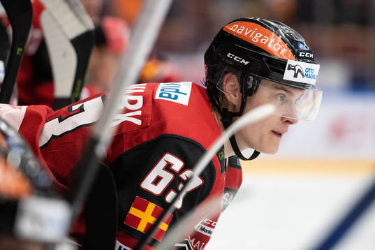 Malmö Redhawks Fredrik Händemark