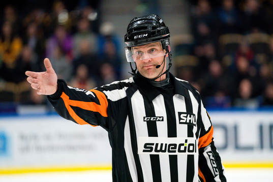 Domare Mikael Nord