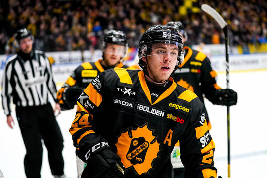 Skellefteås Andreas Wingerli jublar