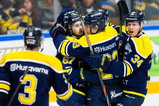 Spelare ur HV71 jublar