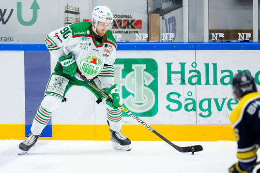 Rögles Ted Brithén