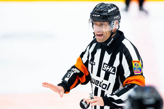 Domare Sören Persson
