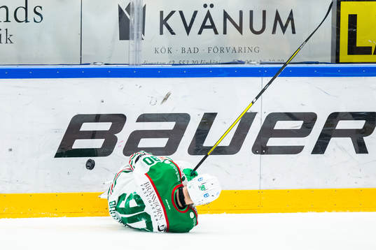Rögles Ted Brithén