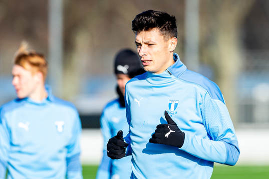 Malmö FFs Anel Ahmedhodzic