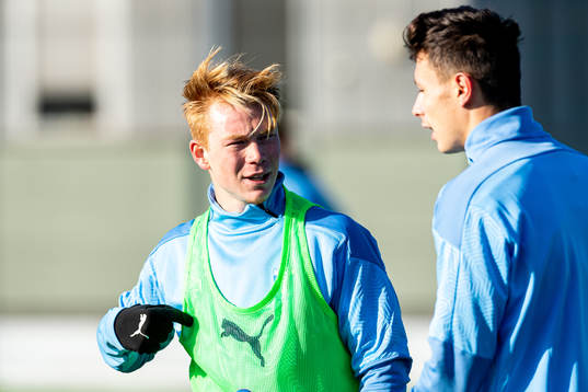Malmö FFs Linus Borgström