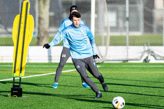 Malmö FFs Anel Ahmedhodzic